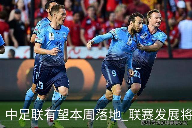 中足联有望本周落地 联赛发展将进入全新时代